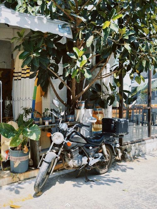 旅游不发自拍：享受当下，留下美好回忆