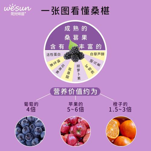 真仙美桑椹红酒价格解析