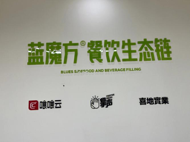 上海蓝宝石公司