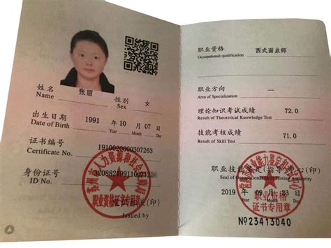 职业可以写其他吗?