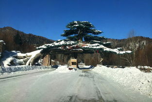 辽宁雪乡旅游景点大全