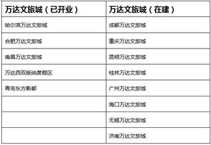 什么是旅游管理公司