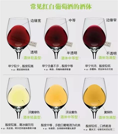 关于红酒的基本知识和礼仪