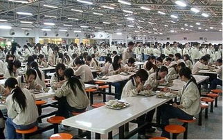 学校餐饮管理工作总结