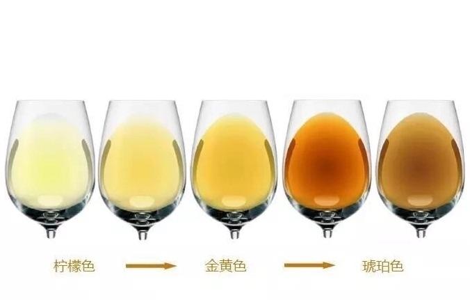怎么辨别红酒的口感