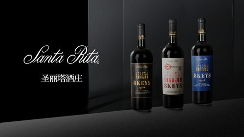 智利红酒的品牌介绍