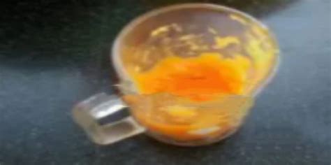 木瓜红酒汤的做法