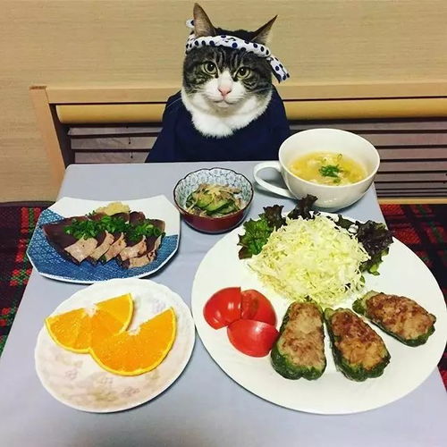 泉州涂门街美食馆在哪里啊