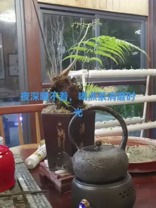 晚上喝了红酒也睡不着
