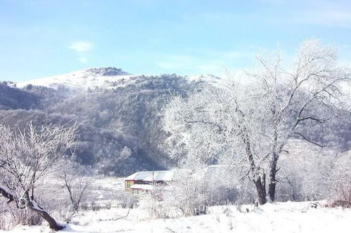 重庆冬季旅游周边旅游景点