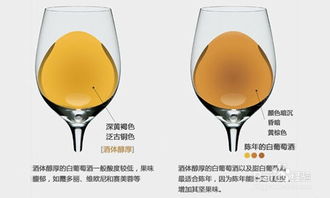 红酒变酸了怎么处理方法