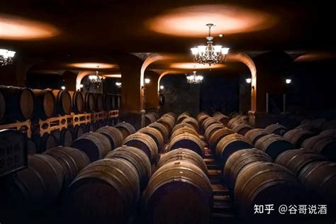 红酒大学生推荐什么品牌