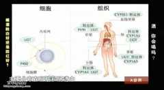 喝红酒后脸红发热是怎么回事