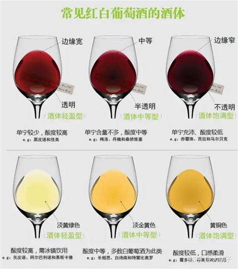 红酒验酒
