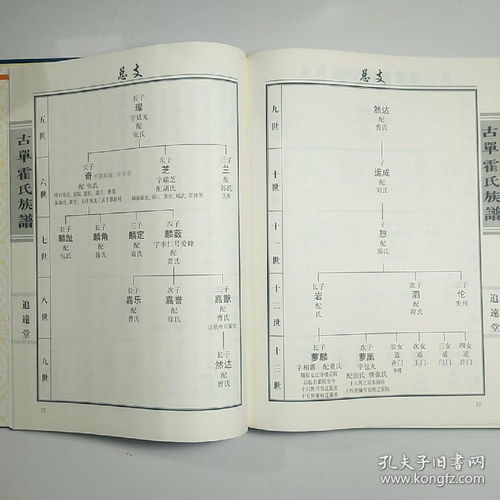 家谱怎么编排