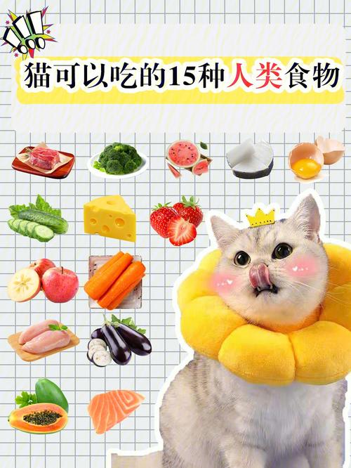 猫咪名字大全吃的