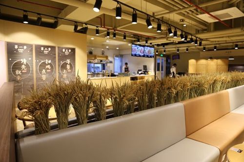 餐饮创业项目有哪些