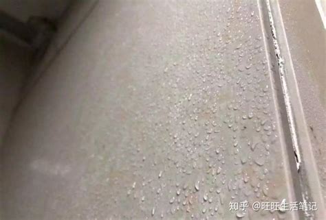 益阳去哪玩