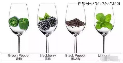 红酒怎么分辨好坏