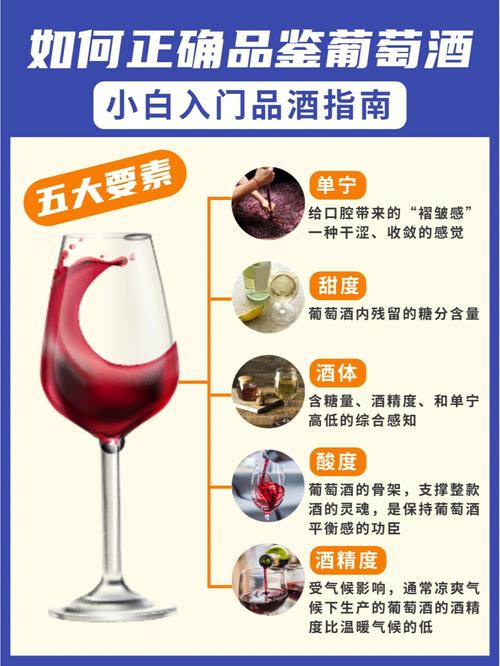 红酒品鉴会现场图片