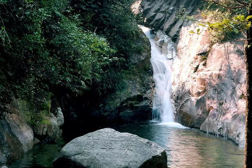 枫叶温泉小镇度假村餐饮