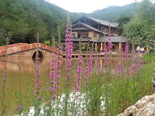 丽江秘境旅游集团怎么样