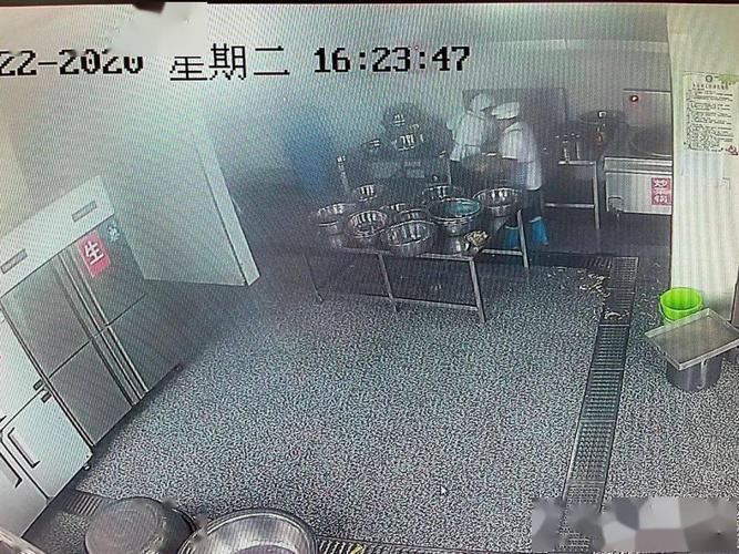 江苏省餐饮服务食品安全自查指南