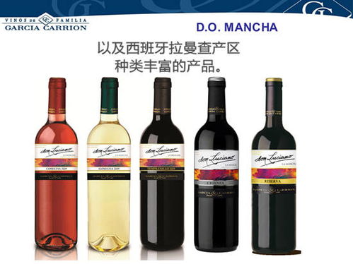 庞特城堡干红葡萄酒2017