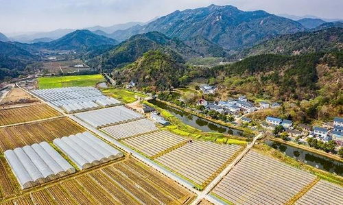 信阳罗山旅游景点有哪些地方