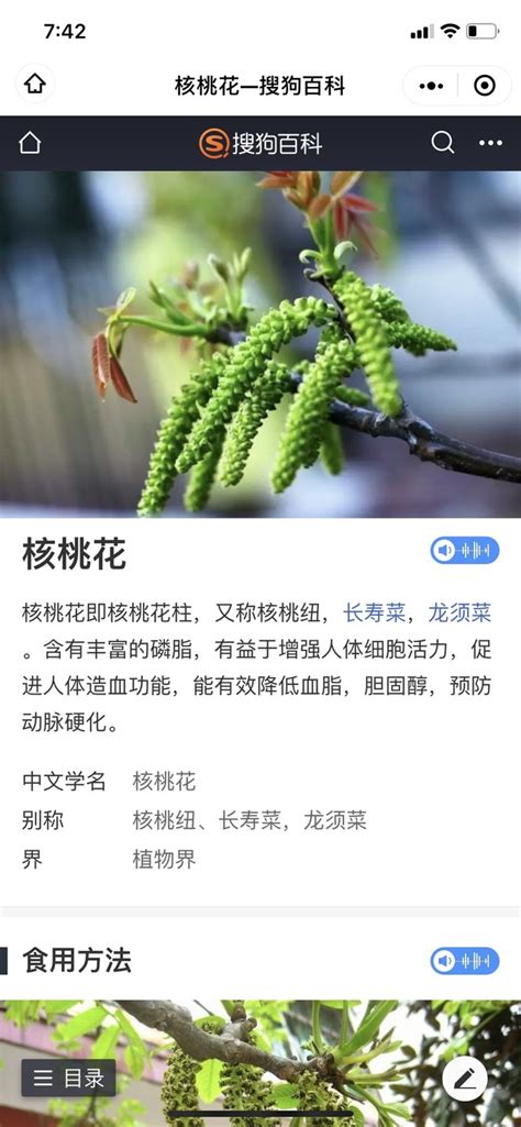 核桃花怎么吃好吃又简单