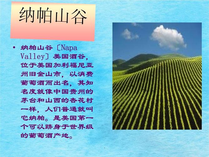 进口红酒市场营销方案
