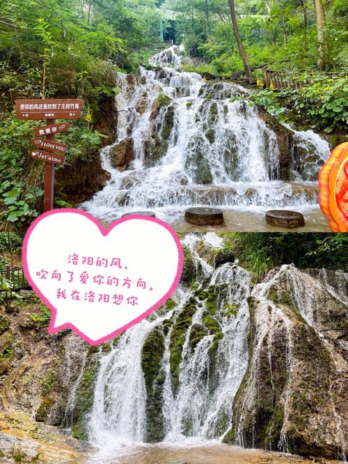 洛阳到四川旅游团
