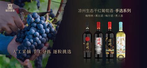 凉山名酒