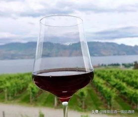 世界十大品牌红酒