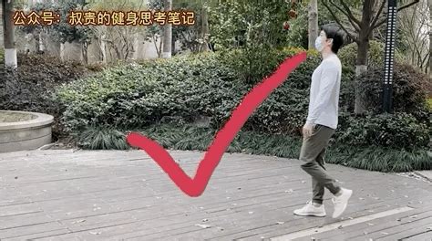 什么食品减肥最快最有效