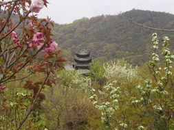 舟山桃花岛风景旅游区天气