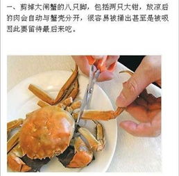 活螃蟹保存10天方法不瘦