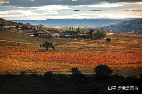 里奥哈产区葡萄酒排名世界第几