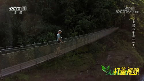 旅游环境破坏图片