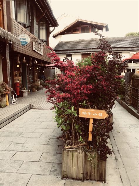 杭州青芝坞民宿位置图