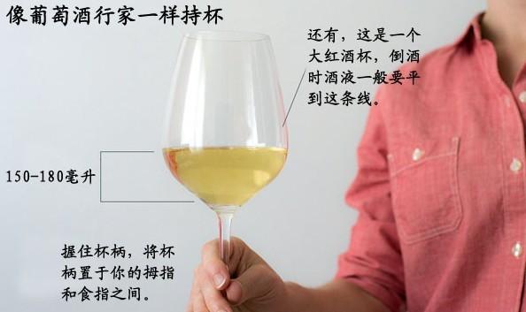 红酒的品尝方式