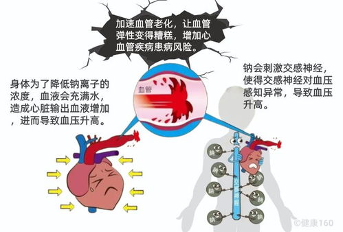 与餐饮相关的行业有哪些