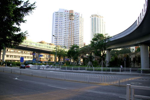 深圳龙华民治附近哪里有早茶