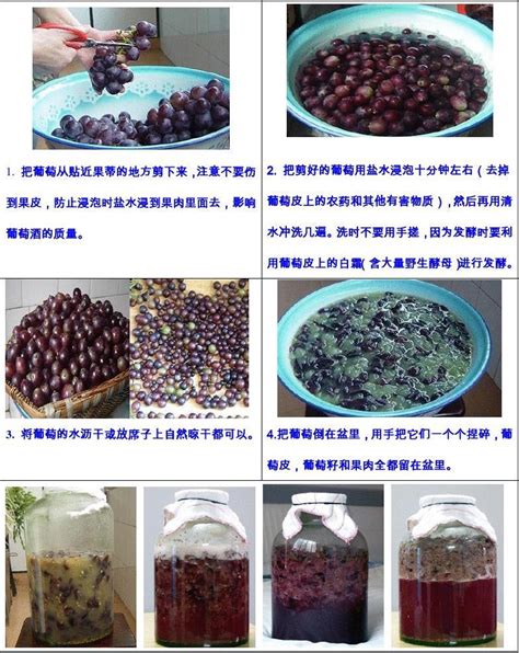 自制红酒会中毒吗