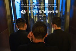 计划概述