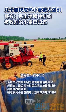几十亩小麦被人开收割机偷走?警方通报来了!5天前