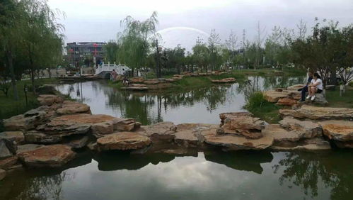 北京宋家庄 道路单侧有绿化,另一边树却不见了,居民表示不美观
