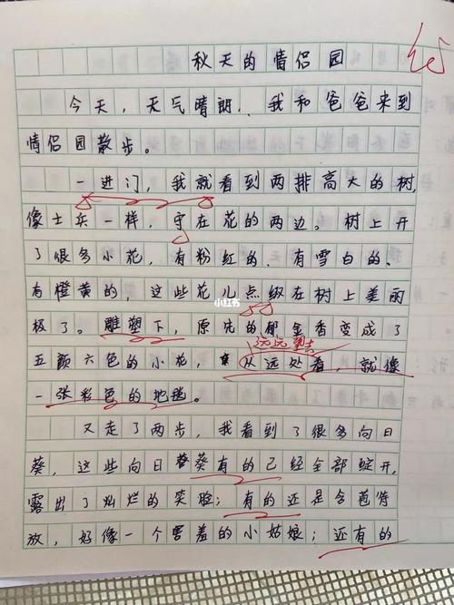 7人不能至少不该找英专润色及付费选校避雷❗️