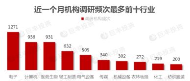 骆驼股份的发展现状