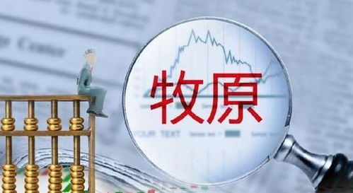 爱康医疗集团信披违规事件深度剖析透明度与责任的重要性